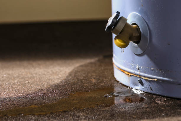 Best Mold removal after water damage  in Alba, NY