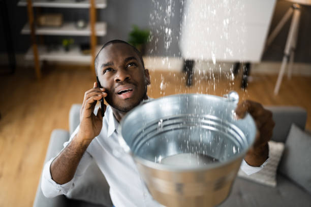 Best Water damage restoration services  in Alba, NY