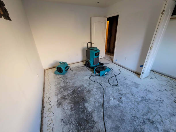 Best Flood damage cleanup  in Alba, NY