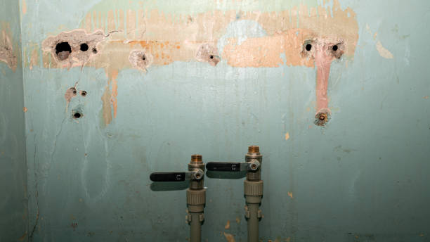 Best Water damage restoration near me  in Alba, NY