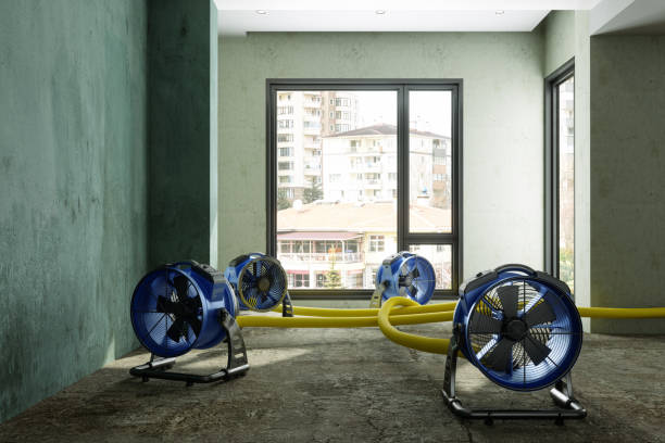 Best Ceiling water damage repair  in Alba, NY